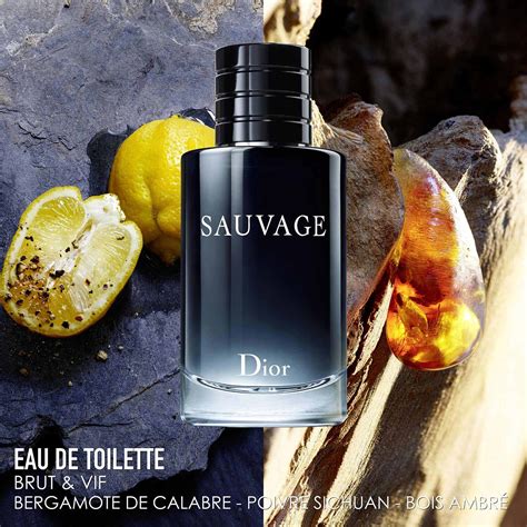 dior homme sauvage eau de toilette|dior sauvage for men 100ml.